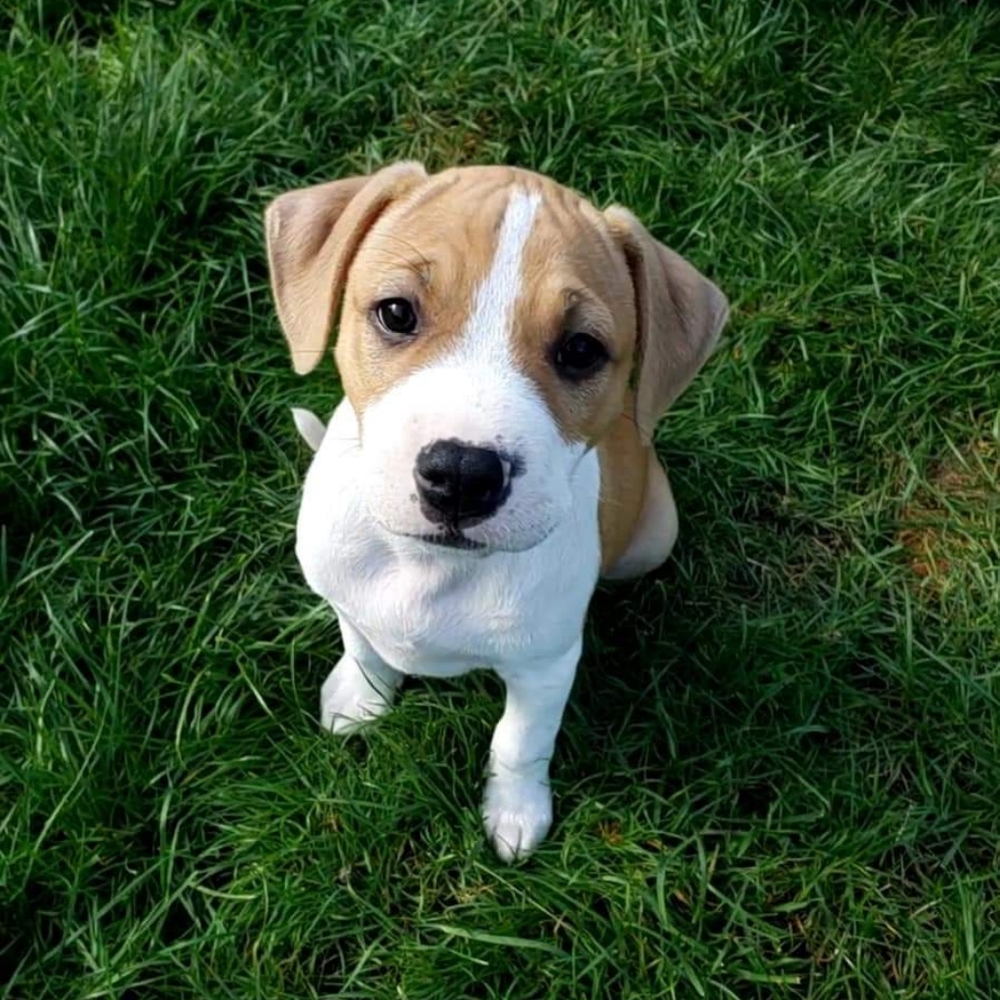 Meet your Posher, Luc